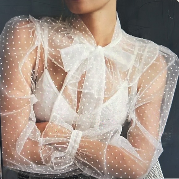 NWT Anthropologie Dolan Sheer Top, size 3x - Picture 4 of 11